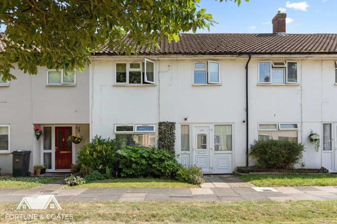 105 Blackbush Spring