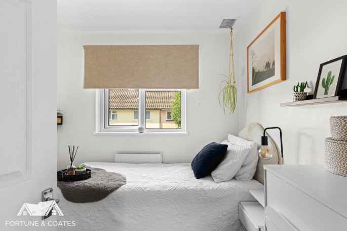 105 Blackbush Spring