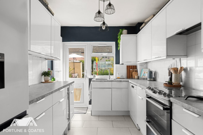 105 Blackbush Spring