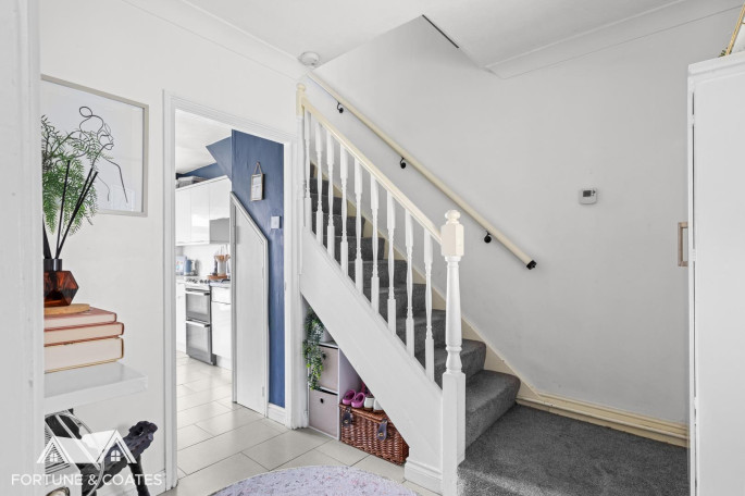 105 Blackbush Spring